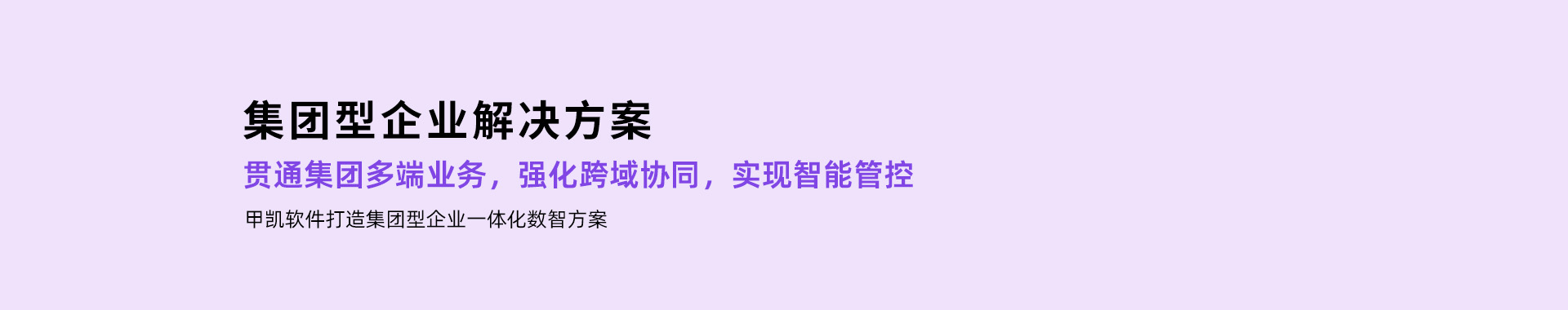 集团型企业解决方案