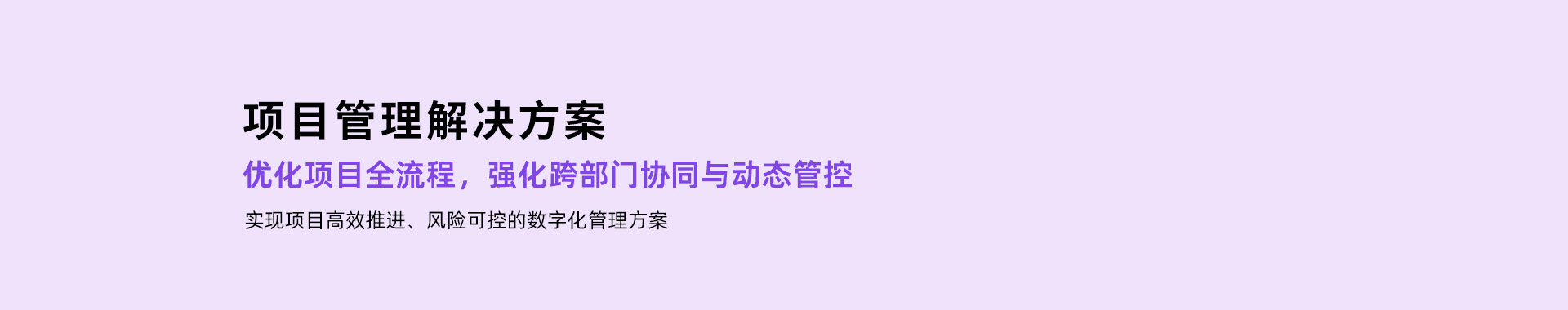 项目管理解决方案