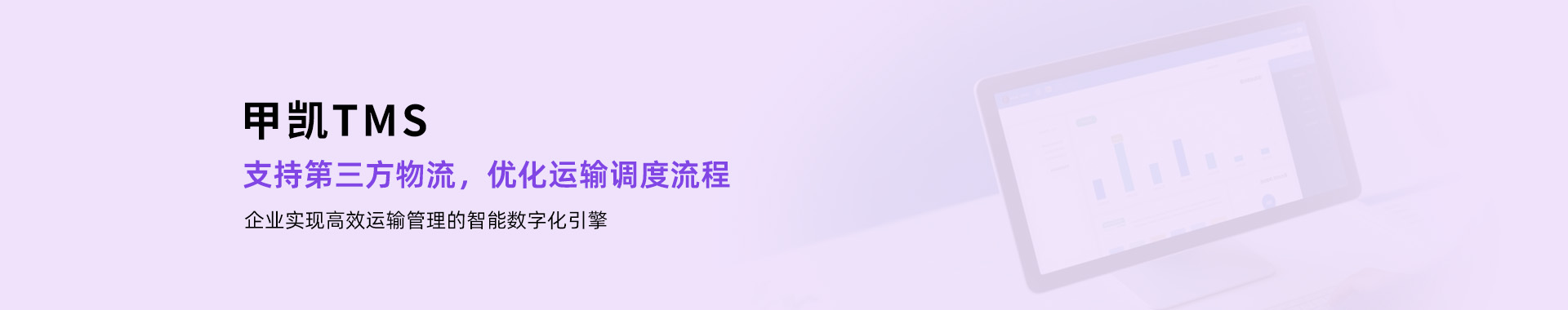 TMS系统